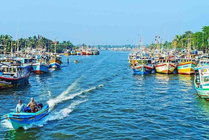 Take a boat trip on the Negombo Lagoon and Muthurajawela Marsh