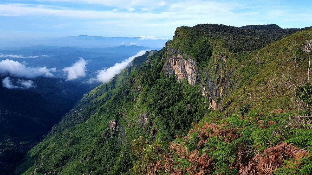 Horton Plains Eco Park – Nature & Wildlife Experience