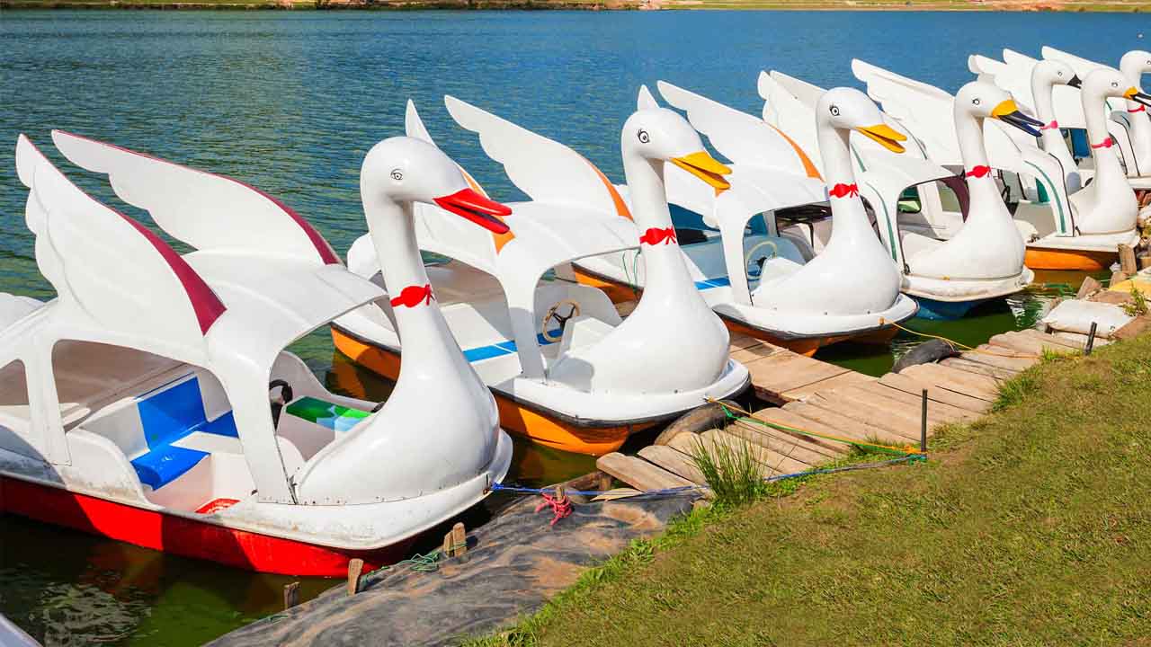 Gregory Lake – Lakeside Leisure & Boat Rides