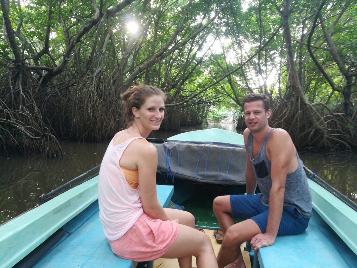 Bentota River boat safari