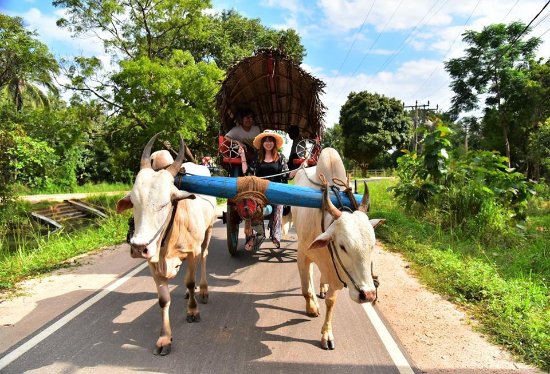 Go on a village tour