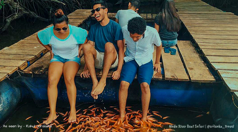 Go on a Madu River boat safari.