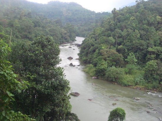 Riverside Relaxation & Photography