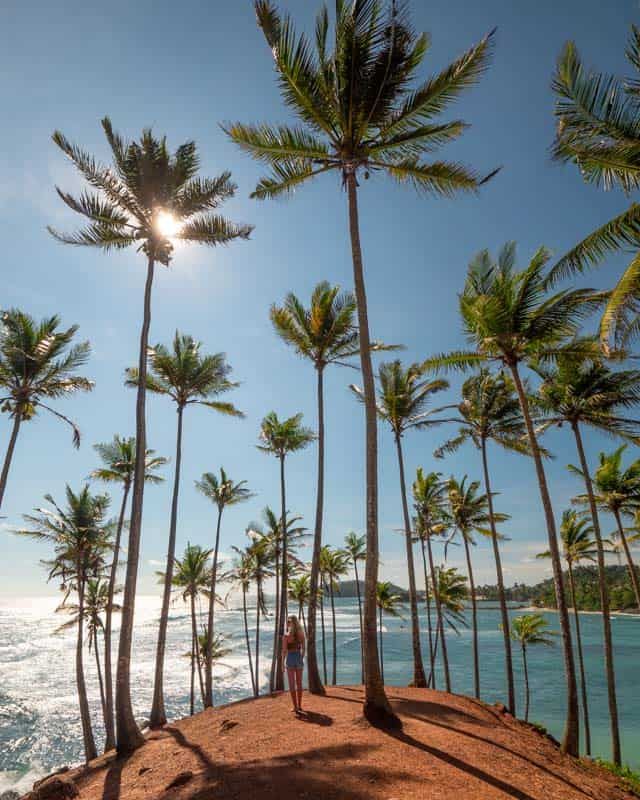 6-Day Surf and Beach Tour in Sri Lanka